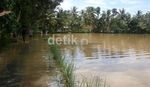 Puluhan Rumah di Purbalingga Terendam Banjir