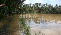 Sebanyak 54 rumah di Desa Cilapar dan 70 rumah di Desa Penolih terendam banjir. Arbi Anugrah/detikFoto.