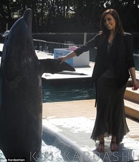 Kim Kardashian bersalaman dengan seekor ikan lumba-lumba yang sudah terlatih. (Kim Kardashian)