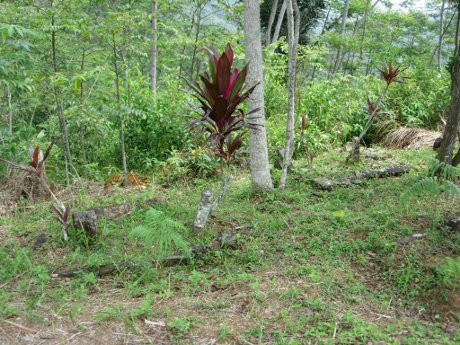 Temuan Makam, Bukti Bangsa Indonesia Penemu Pertama Situs Gunung Padang