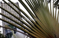 Di kota-kota besar lain di dunia, pemasangan papan reklame atau bilboard tidak tunggal, melainkan menempel pada gedung lain. Hal ini dinilai lebih kuat dalam menghadapi terpaan angin kencang.