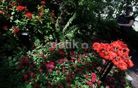     Di taman ini dijamin rasa jenuh menunggu penerbangan akan hilang.