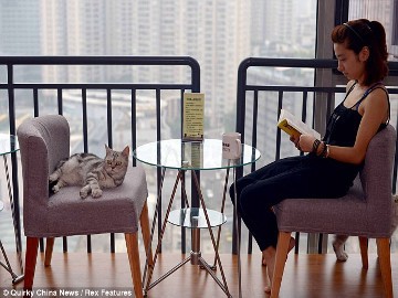 Foto: Daily Mail Foto: Daily Mail