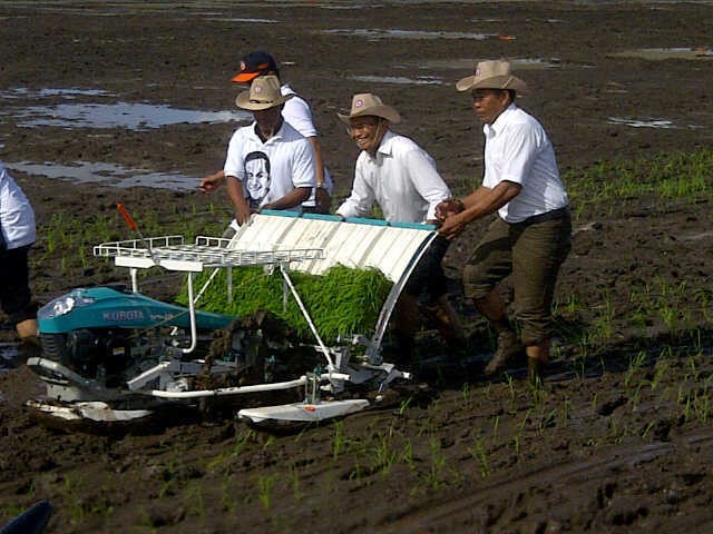 Disuruh Cetak Sawah Moderen, 2 BUMN Ini Batal Merger