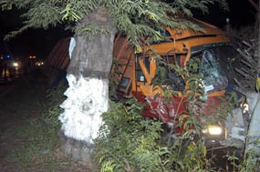 Truk vs Truk di Situbondo, Kedua Sopir Lolos Dari Maut