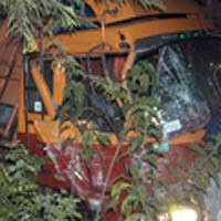 Truk vs Truk di Situbondo, Kedua Sopir Lolos Dari Maut