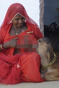 Ibu-ibu Baik Hati yang Rela Menyusui Hewan dari Payudaranya Sendiri
