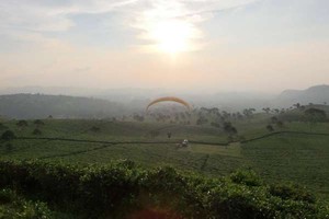 Melayang di Atas Hamparan Hijau Alam Jawa Tengah