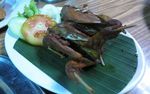 Slruup.. Hangat Gurih Tongseng dan Sate Kambing untuk Penumpas Lapar