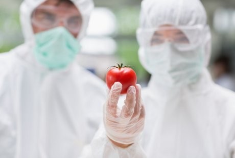 Kulit Tomat Bisa Jadi Obat Jantung dan Stroke