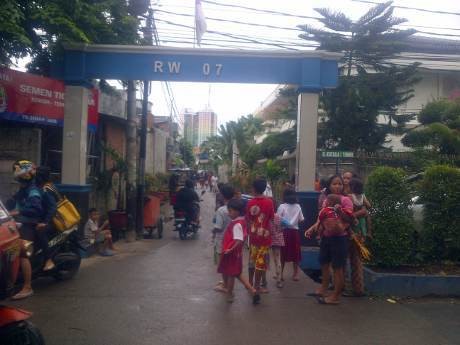 Sayembara! Siapa yang Bisa Tangkap Monyet Iwan Diberi Rp 300 Ribu