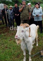 SBY Daki TNG Gede Pangrango
