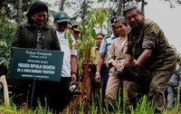 Presiden dan Ibu Negara juga melakukan penanaman pohon Rasamala (Altingia Exelsa) dan Ki Hujan (Engelhardia Spicata). Rusman/Setpres.