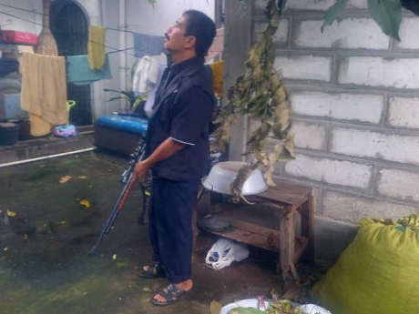 Dor! Baron Si Monyet Ngamuk Palmerah Limbung Kena Tembakan Warga