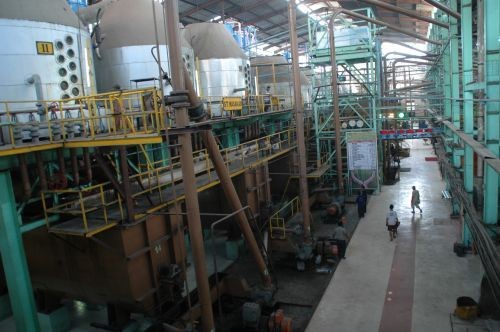 PTPN X Targetkan Produksi Gula Premium 200 Ribu Ton