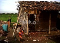 Atap rumah warga rusak diterjang puting beliung.