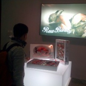 Raw Bunny, Kritik Budaya Konsumerisme Lewat Kelinci