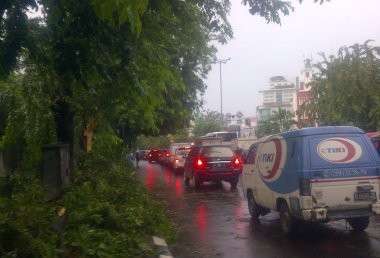 Pohon Tumbang di Jalan Panjang, 1 Orang Jadi Korban
