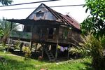 Puting Beliung Sapu 12 Kecamatan di Pinrang