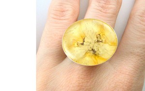 Wow! Ada Cincin Pisang dan Anting Tomat yang Segar dan Cantik!