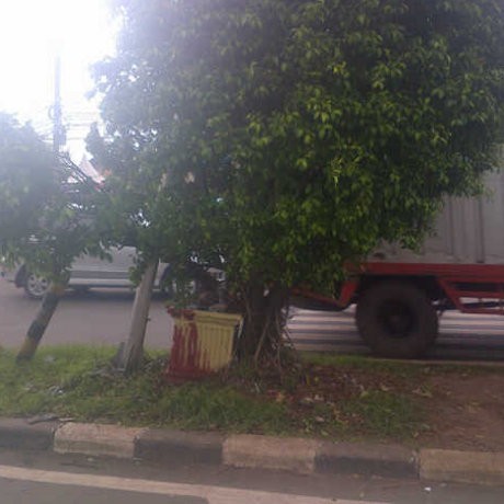 Kecelakaan Motor di Kalimalang, Faisal Nyangkut di Pohon Beringin