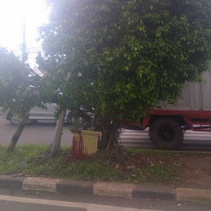 Kecelakaan Motor di Kalimalang, Faisal Nyangkut di Pohon Beringin