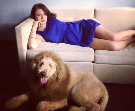 Duh! Mirip Singa, Anjing Ini Bikin Panik Warga Virginia AS