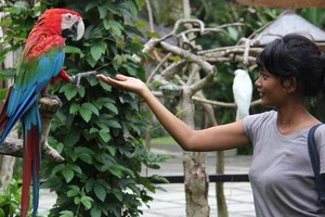 Mau Foto Narsis di Bali? Datangi 5 Tempat Ini