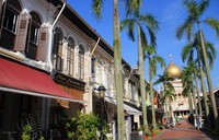 Masjid Sultan direnovasi pada tahun 1924, bertepatan dengan 100 tahun berdirinya masjid tersebut. Selain dilakukan perluasan area untuk menambah daya tampung, bentuk dan arsitektur masjid juga mengalami perubahan. Setelah empat tahun pembangunan, berdirilah masjid seperti yang ada sekarang. Bergaya Gotik Mughal lengkap dengan menaranya dan mampu menampung 5.000 jemaah.