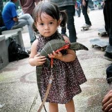 Mengenal Lebih Dekat Reptil di KRB
