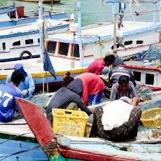 Gelombang Tinggi, Nelayan di Palembang 3 Hari Tak Melaut