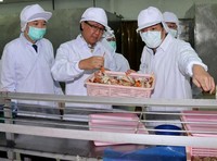 Menteri Kelautan dan Perikanan Sharif C.Sutardjo   meninjau industri pengolahan ikan di Medan, Minggu (13/01). udang tetap menjadi salah satu komoditas unggulan yang diproyeksikan mencapai 1,9 milyar dollar AS, diikuti oleh komoditas ikan lainnya sebesar 1,5 miliar dollar AS, tuna sebesar 720 juta dollar AS, kepiting 379 juta dollar AS  dan produk perikanan lainnya senilai 541 juta dollar AS. Efrimal Bahri/pembaca