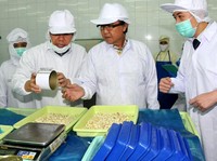 MKP Sharif C Sutardjo meninjau industri pengolahan ikan PT.Toba Surimi di Medan. Ekspor hasil perikanan Indonesia tahun diperkirakan mencapai sekitar 5 miliar dollar AS diikuti dengan volume sebesar 1,4 juta ton. Untuk mencapai target ekspor pada 2013,  dibutuhkan upaya peningkatan nilai ekspor sebesar 28,2 persen dan peningkatan volume ekspor sebesar 13,5 persen. Efrimal Bahri/pembaca