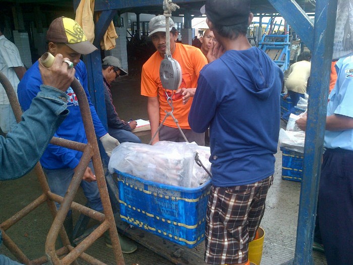 Nelayan Muara Angke: Cuaca Tahun Ini Paling Parah!