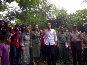 Hijaukan Jakarta, Jokowi: Kita Belanja Tanaman Rp 1 Triliun Kalau Perlu