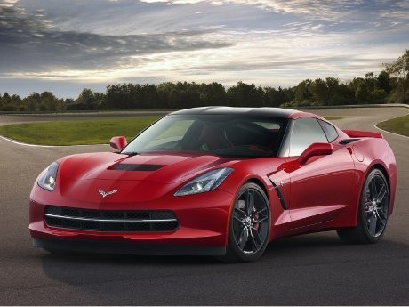 Mengintip Fitur Si Ikan Pari