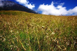 Menapaki Keajaiban di Setiap Langkah Pendakian Rinjani