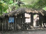 Inilah Penampakan Mumi di Papua