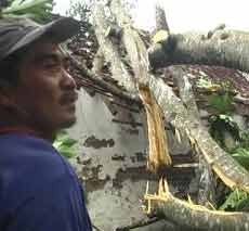 Angin Kencang Rusak Beberapa Rumah Warga di Pasuruan