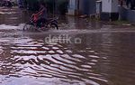 Banjir Genangi Jalan-jalan di Cengkareng