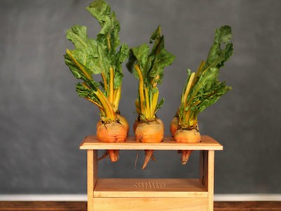 7 Gadget Unik yang Lahir dari Si Mungil Raspberry Pi