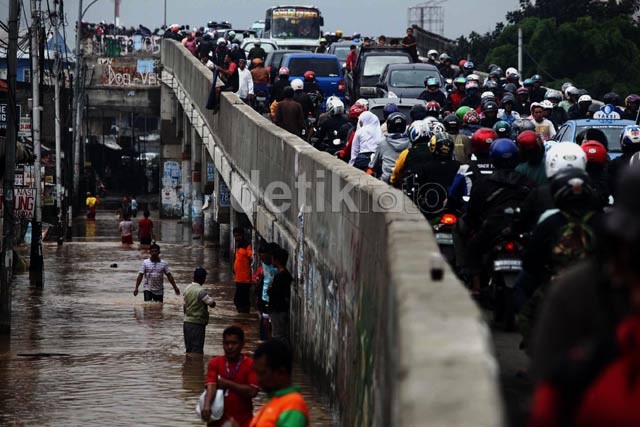 Cililitan Mengular Panjang