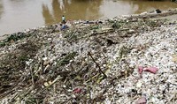 Tumpukan sampah ini tentu menghambat laju air di Kali Ciliwung.     