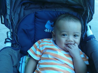 Naufal Febrian Arasy, 10 Bulan, Lelaki