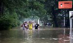 Grogol Terendam, Mahasiswa Trisakti Ngungsi