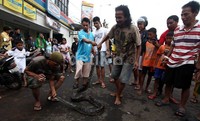 Ular tersebut sepanjang 3 meter.