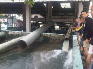 Ahok Pantau Pompa Banjir & Bantu Evakuasi Warga di Jakarta Utara