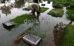 Yang Wafat Juga Kebagian Banjir