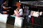Kebanjiran, Warga Pesing Mengungsi di Rel