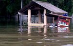 Banjir Rendam Pluit